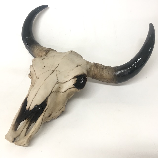 SKULL, Bull 45cm - Resin